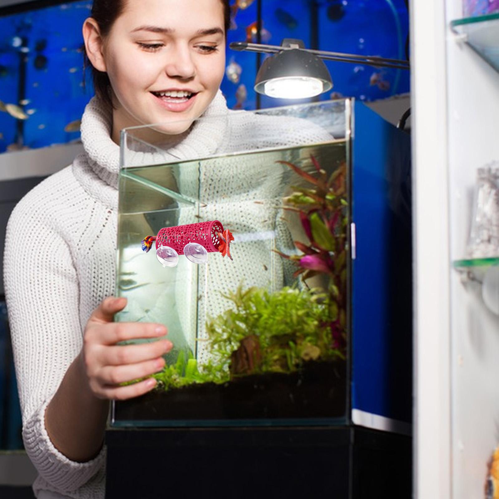 Aquarium Fish Youtube - ベタの生息地、休憩用シェルター、装飾用魚トンネルおもちゃ、水槽用吸盤付き小型安全チューブシェルター、水生ペット、シクリッド用