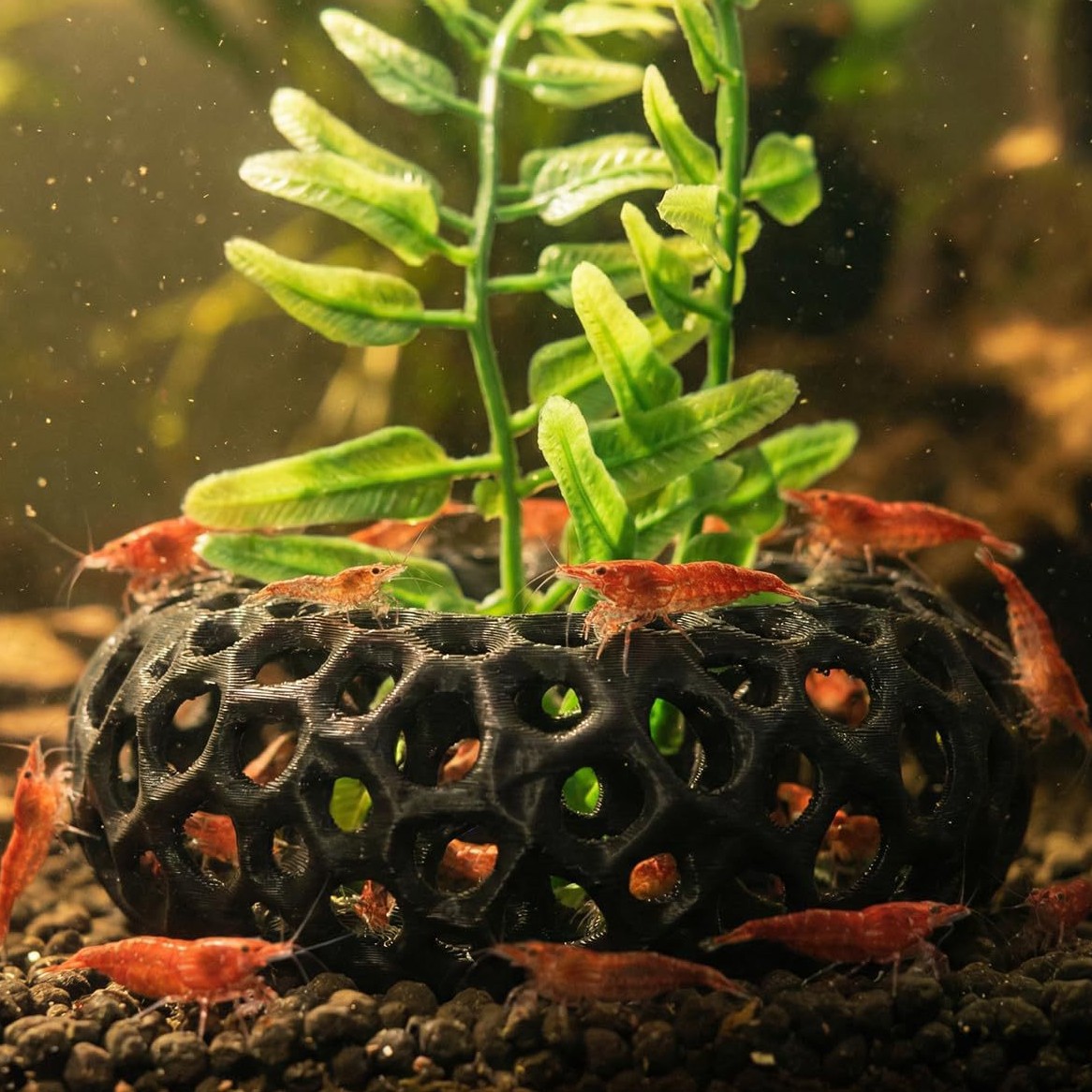 Aquarium Fish Reproduction - 人気商品 3Dプリント製水槽用魚・エビ脱走ハウス クリエイティブな水槽装飾品