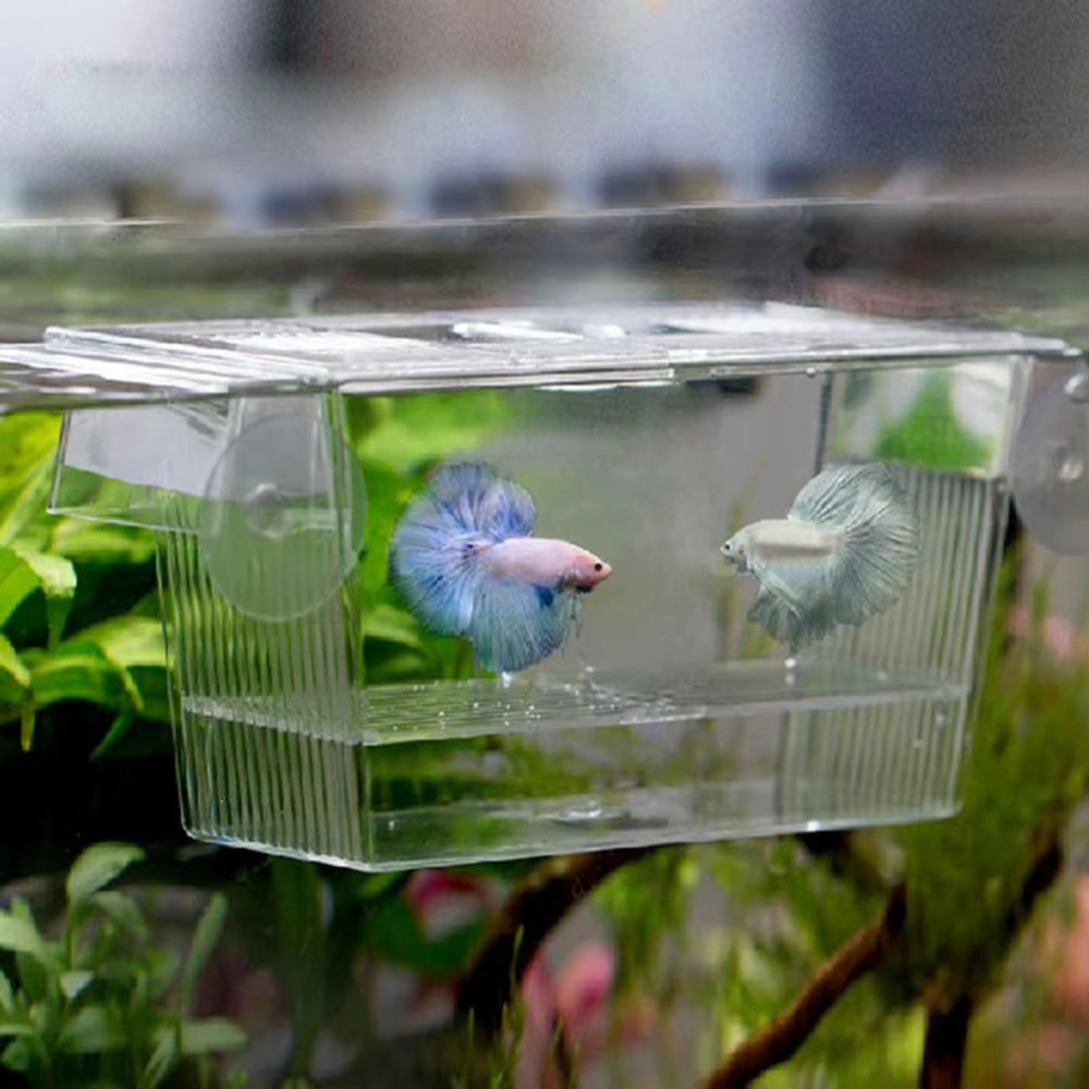 Aquarium Fish Reproduction - クリエイティブアクリル製水槽繁殖インキュベーター水槽飼育者隔離ボックス苗育成繁殖ホルダー魚稚魚水槽
