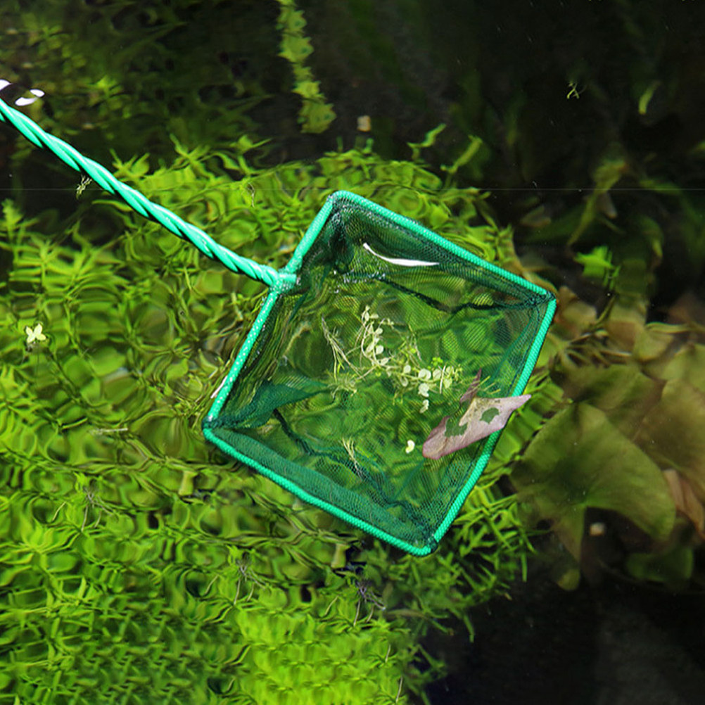 Aquarium Fishland - 2 個ポータブル魚網水族館魚捕獲ネットタンク用エビ捕獲小型除去用丈夫なプラスチック製釣り道具