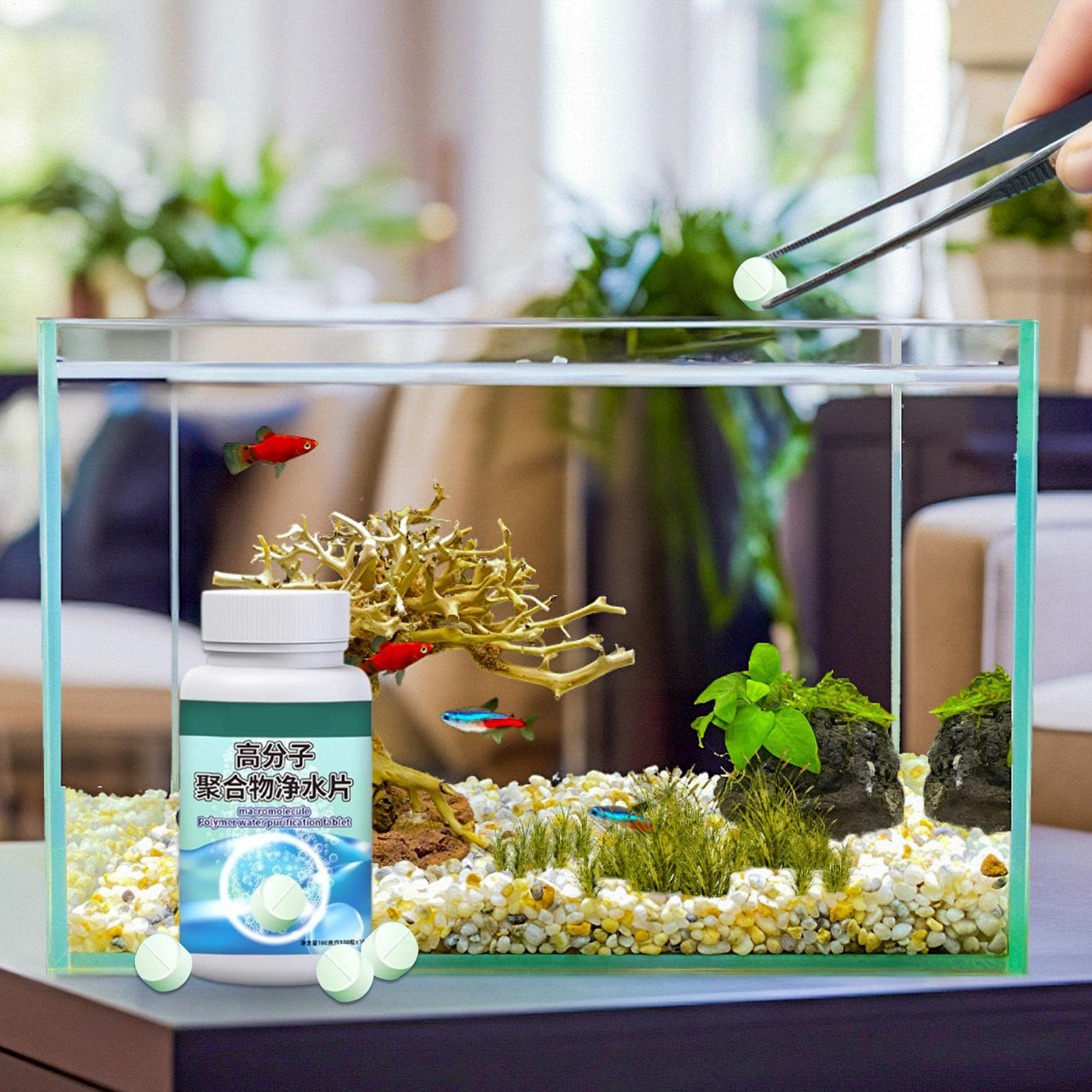 魚の水槽藻類除去剤、水槽浄化タブレット、噴水、ベタ、エビ、カ - Aquarium Fish Care のレビューと価格