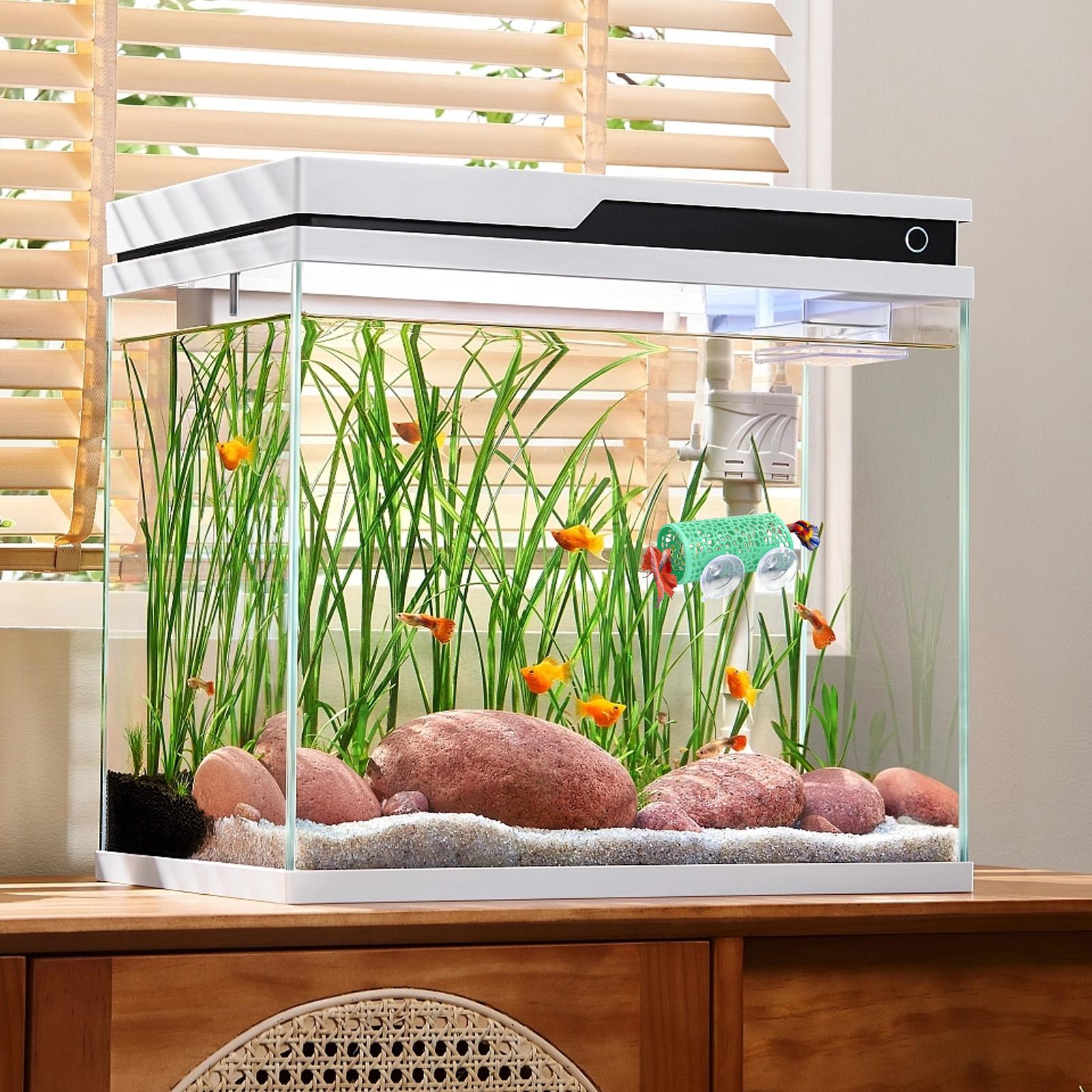 ベタの生息地、休憩用シェルター、装飾用魚トンネルおもちゃ、水 - Aquarium Fish Youtube のレビューと価格