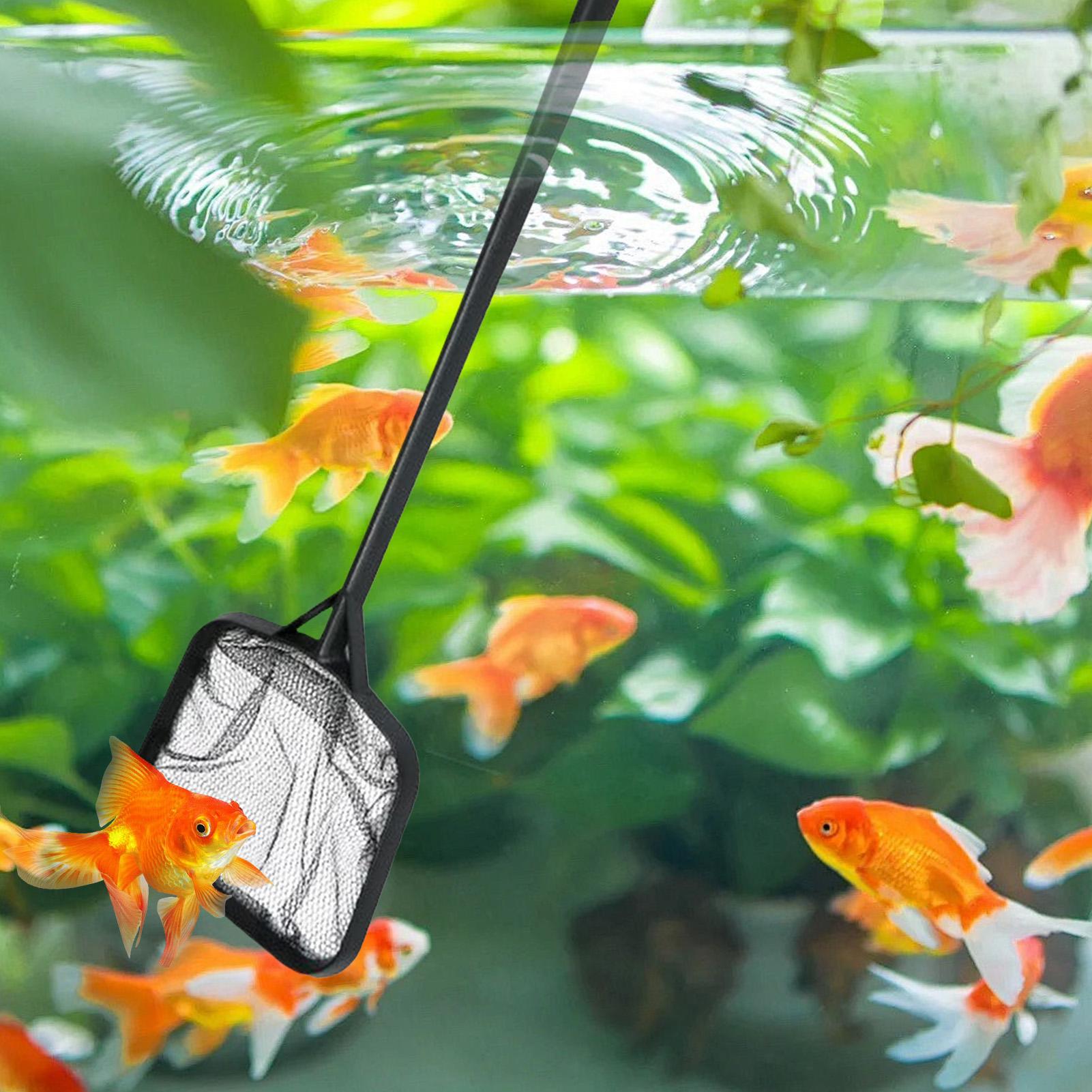 プールネット 清掃用 ポータブルプールストレーナーネット 噴 - Aquarium Fish Accessories のレビューと価格