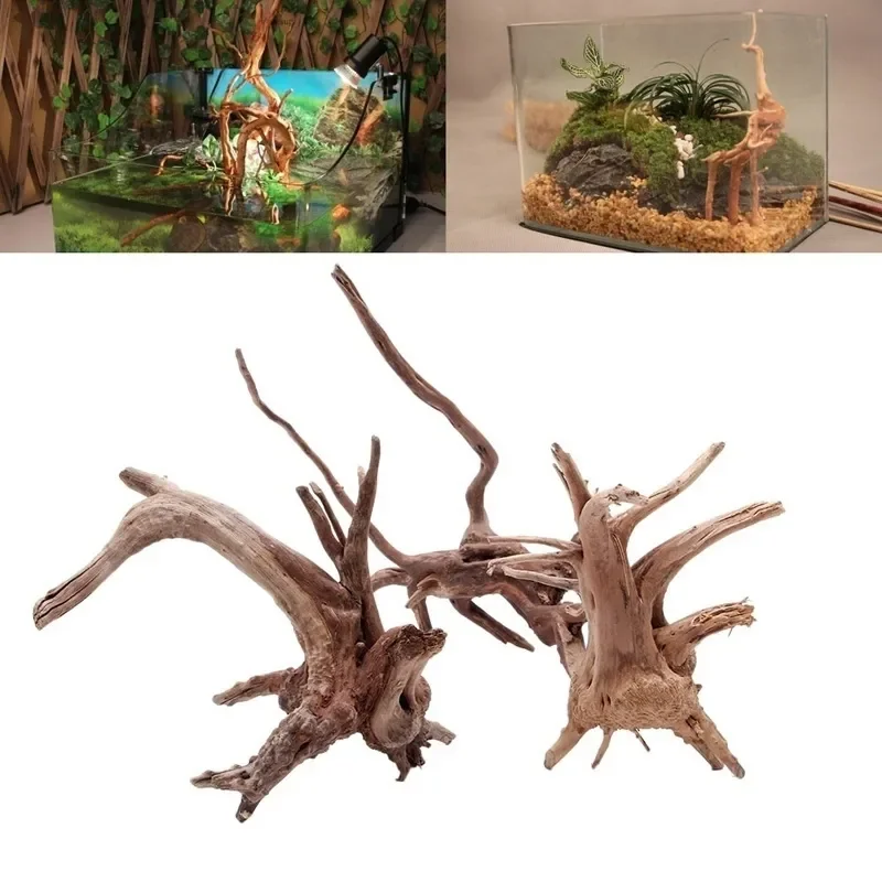 水族館、魚のタンク、爬虫類の根の植物、木の装飾、装飾アクセサ - Aquarium Fish For Sale Online のレビューと価格