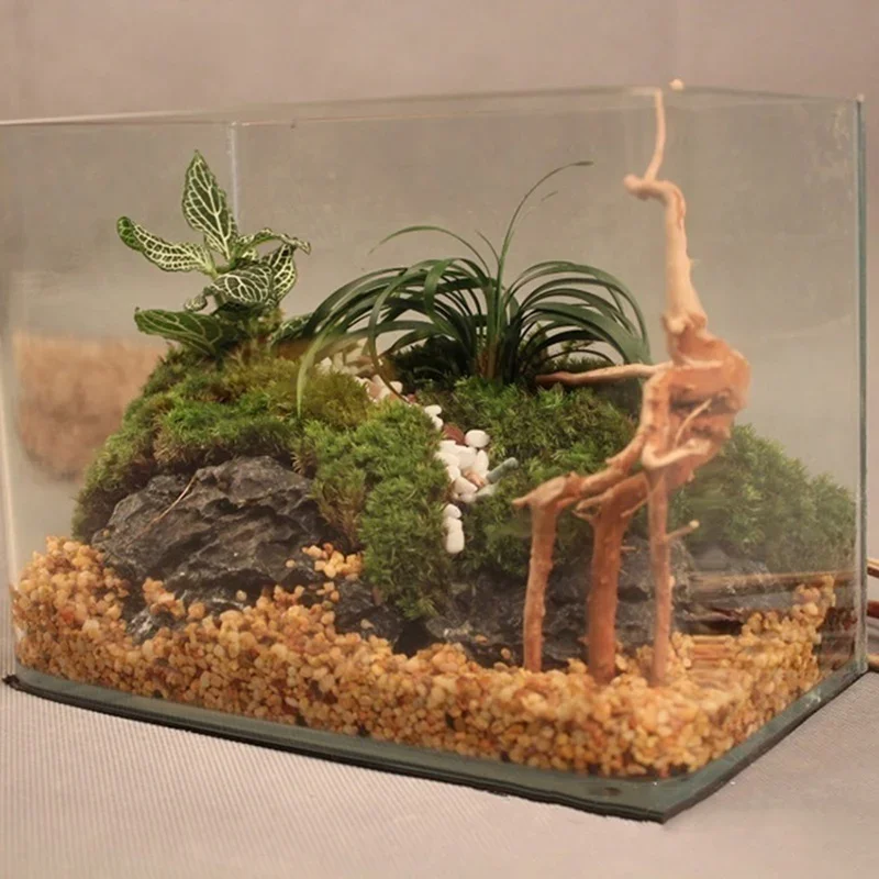水族館、魚のタンク、爬虫類の根の植物、木の装飾、装飾アクセサ - Aquarium Fish For Sale Online のレビューと価格