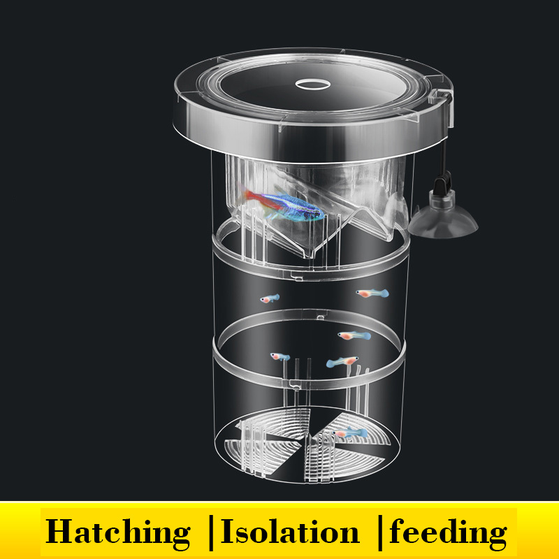 フローティング魚飼育隔離ボックス水族館タンクベビーフィッシュ - Aquarium Fish Accessories のレビューと価格