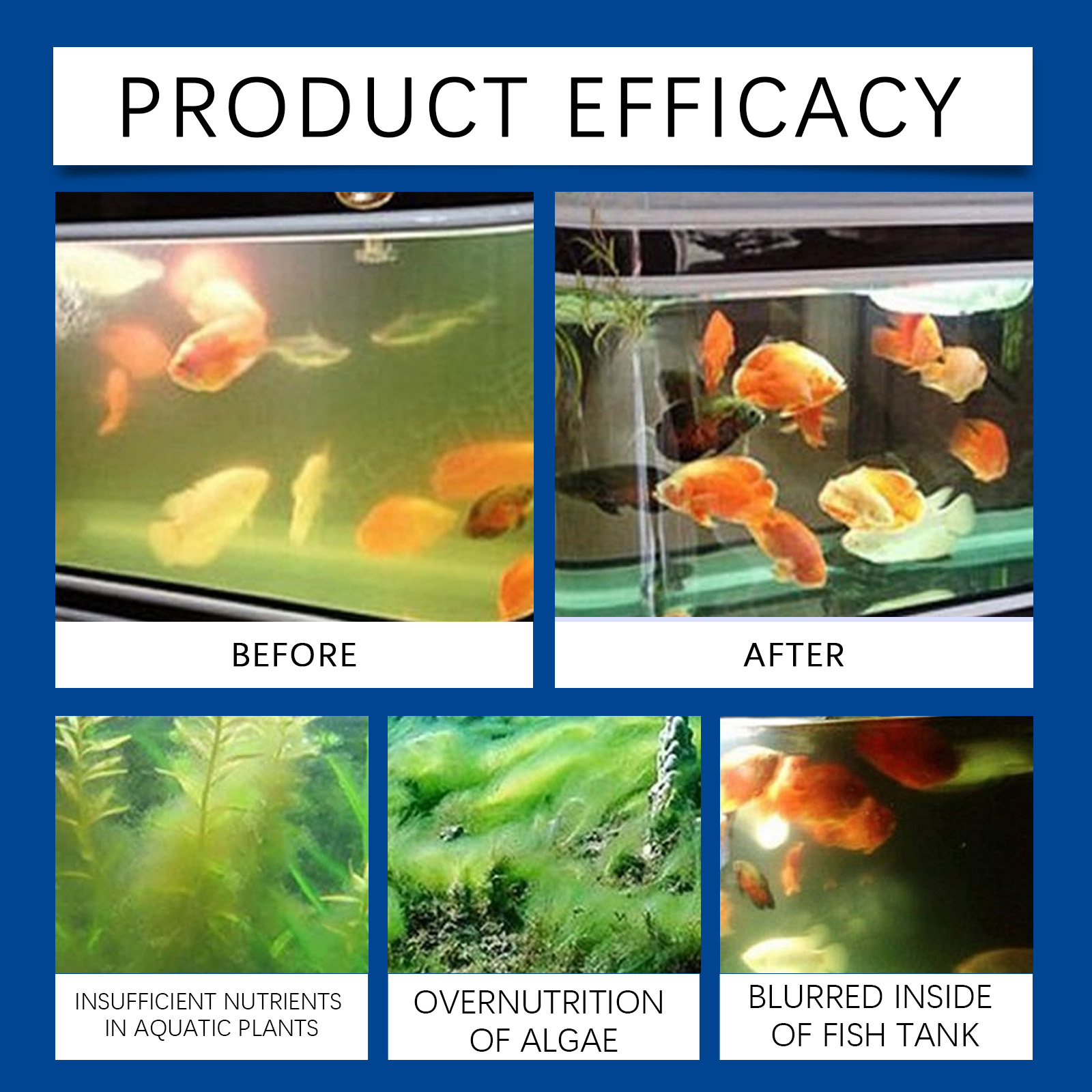 水族館の水精製器 100 ミリリットル淡水海水水槽クリーナー - Aquarium Fish Care のレビューと価格