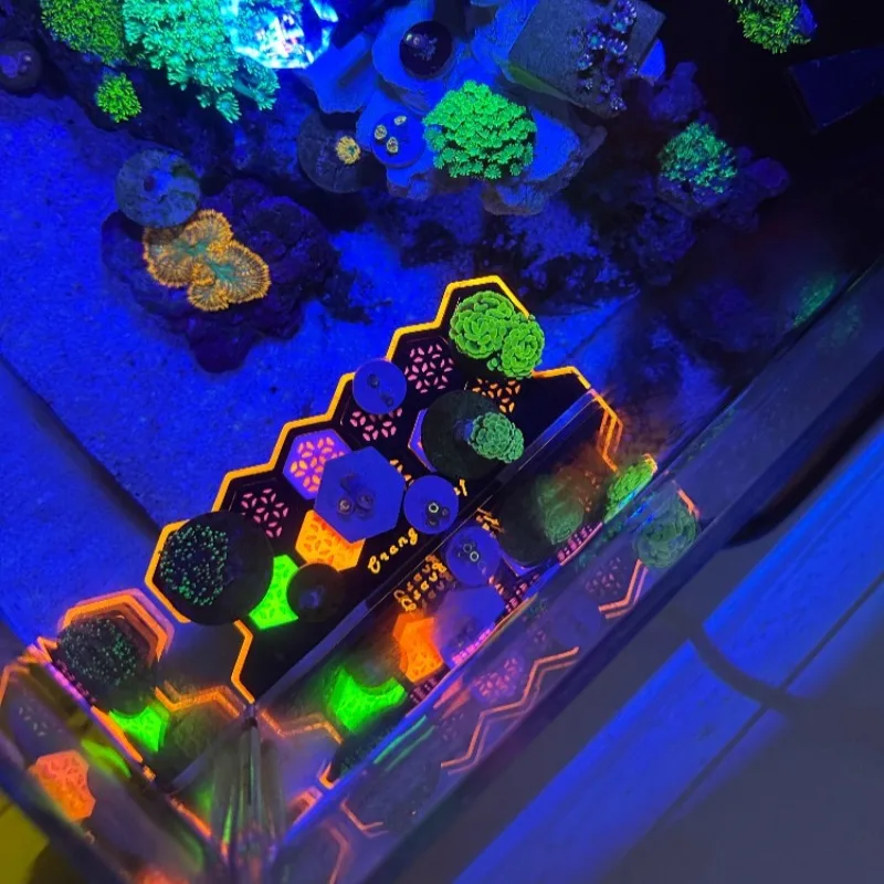 蛍光サンゴフラグプラグ発光サンゴ繁殖ベース水槽装飾品 - Aquarium Fish Reproduction のレビューと価格