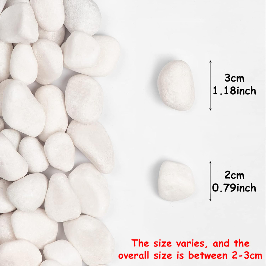 200/400g ホワイト高研磨天然玉石 2-3cm 中庭景 - Aquarium Fish Only のレビューと価格