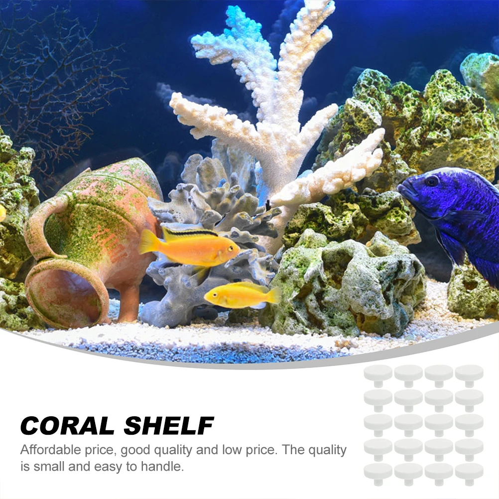 20 個サンゴ接着剤リーフセーフサンゴベース T 字型サンゴ - Aquarium Fish Reproduction のレビューと価格