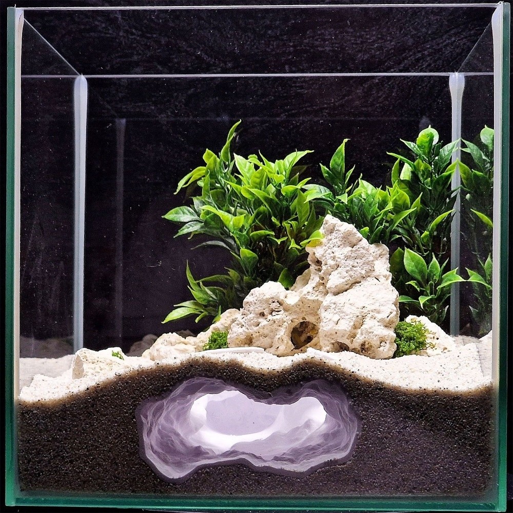 高度にシミュレーションされた水槽魚タンク自然3Dプリント風景 - Aquarium Fish Reproduction のレビューと価格