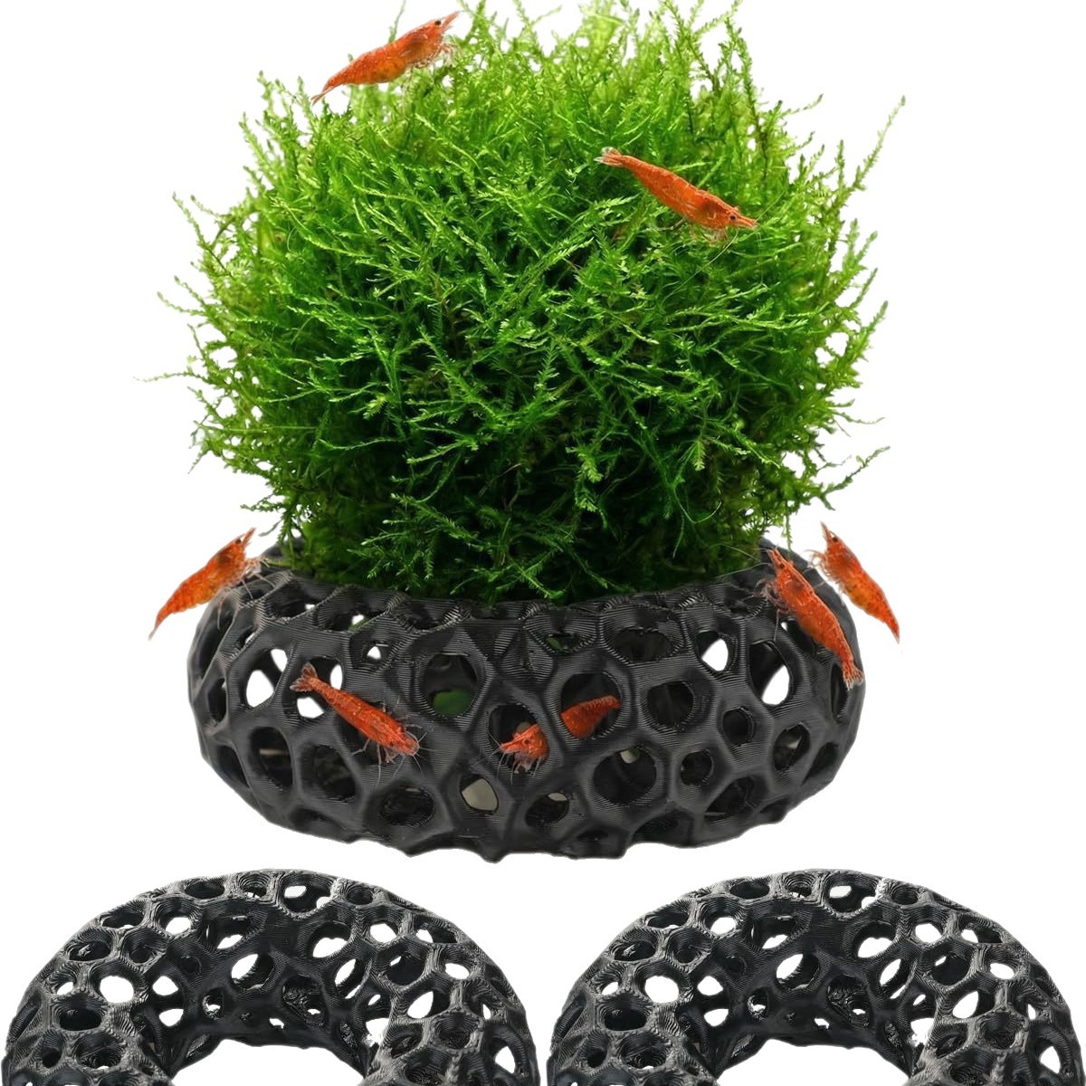 人気商品 3Dプリント製水槽用魚・エビ脱走ハウス クリエイテ - Aquarium Fish Reproduction のレビューと価格