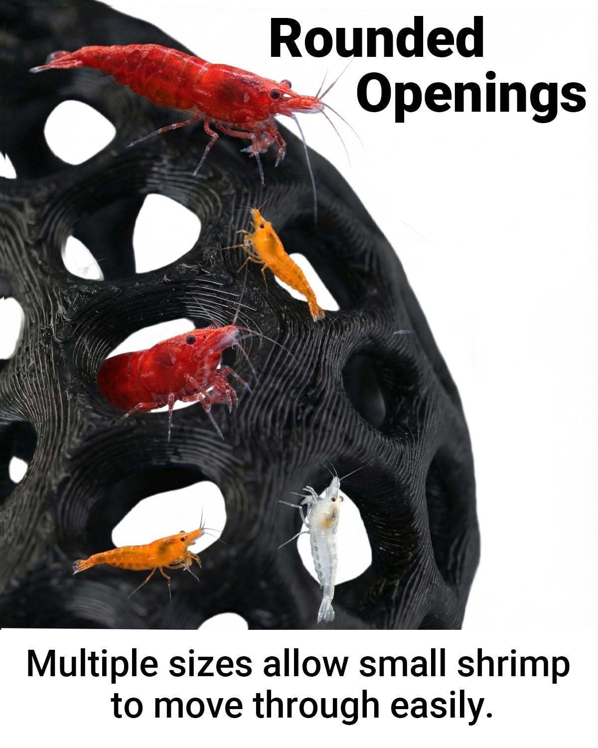 人気商品 3Dプリント製水槽用魚・エビ脱走ハウス クリエイテ - Aquarium Fish Reproduction のレビューと価格