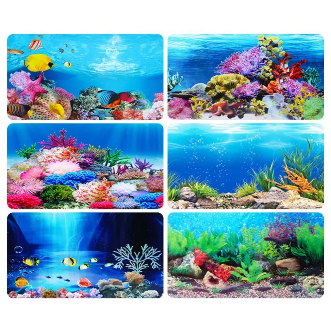 3D水族館の背景ステッカー,水槽の装飾,海洋植物,両面風景, - Aquarium Fish For Sale Online のレビューと価格
