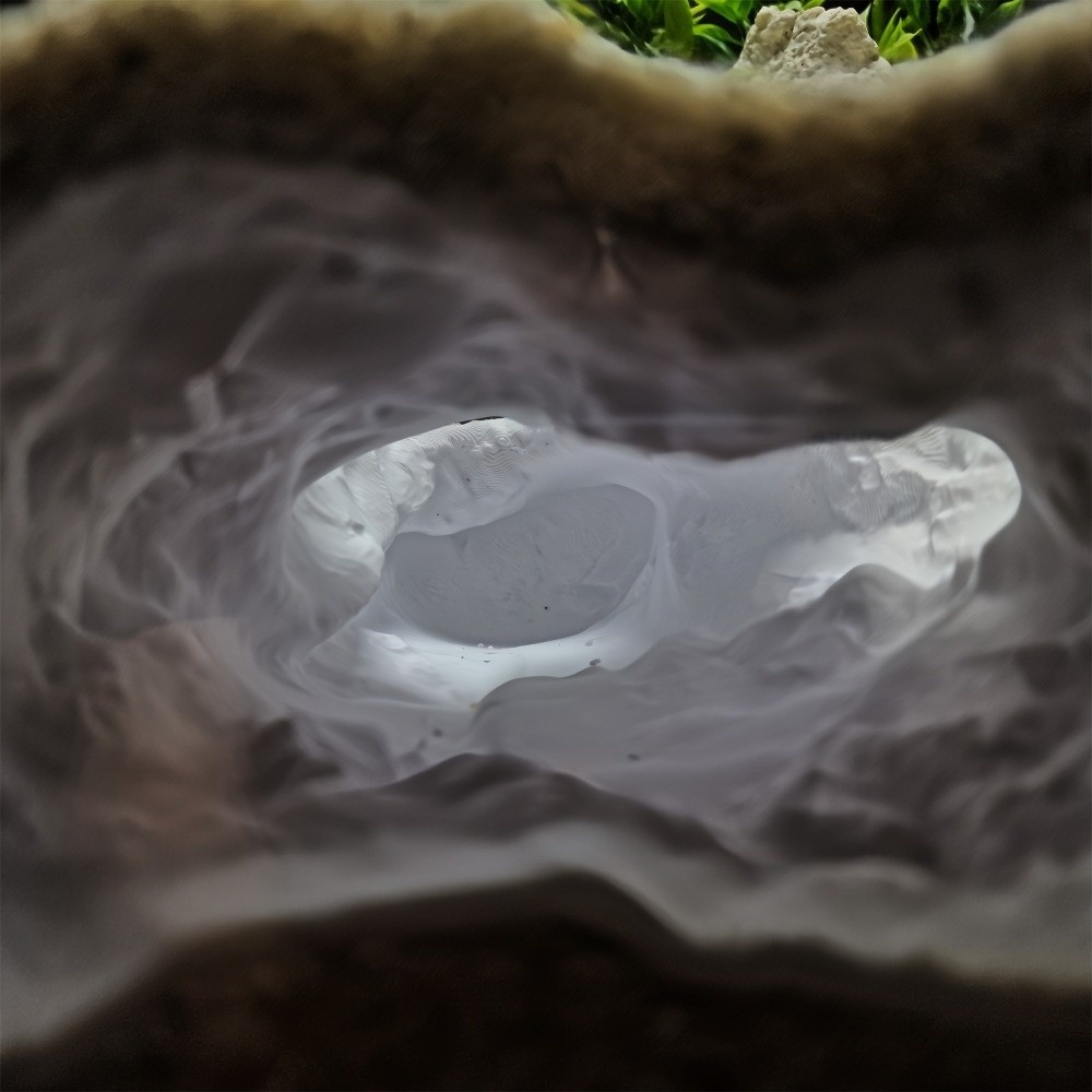 高度にシミュレーションされた水槽、自然な3Dプリント爬虫類シ - Aquarium Fish Reproduction のレビューと価格