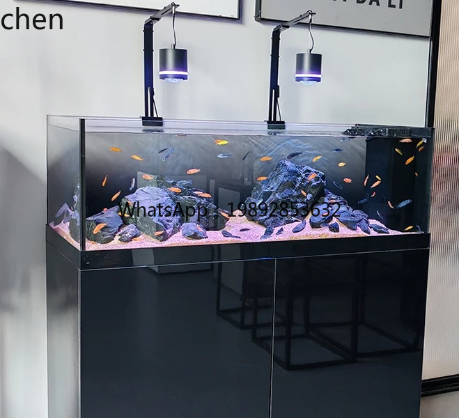 ストリームタンク ネイティブ ワイルド コレクション スリー - Wild Aquarium Fish のレビューと価格