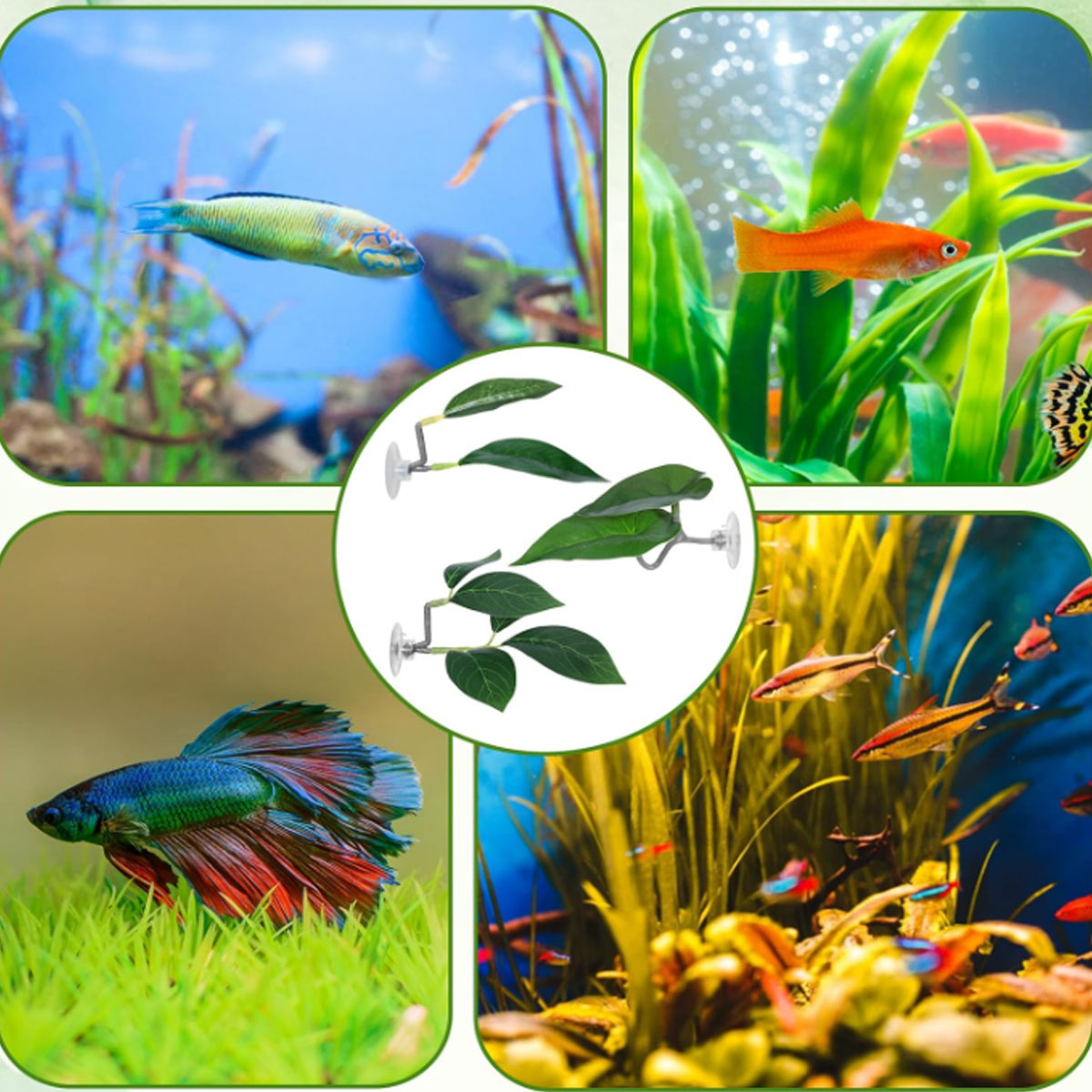 1 PC ベタフィッシュハンモック ソフト水槽装飾 プラスチ - Aquarium Fish Only のレビューと価格