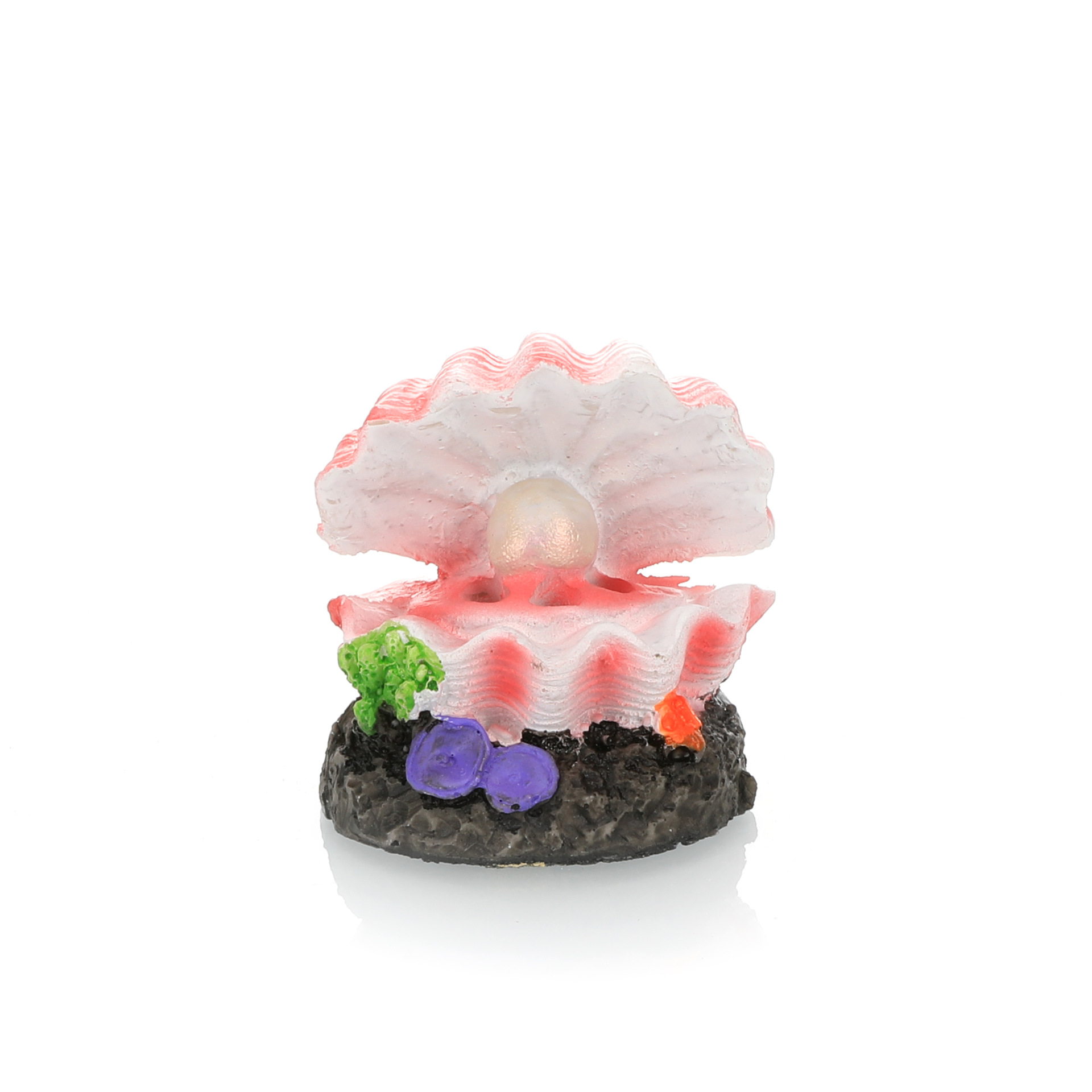 水槽造園シミュレーション火山水族館アクセサリーロッカリーエア - Aquarium Fish For Sale Online のレビューと価格