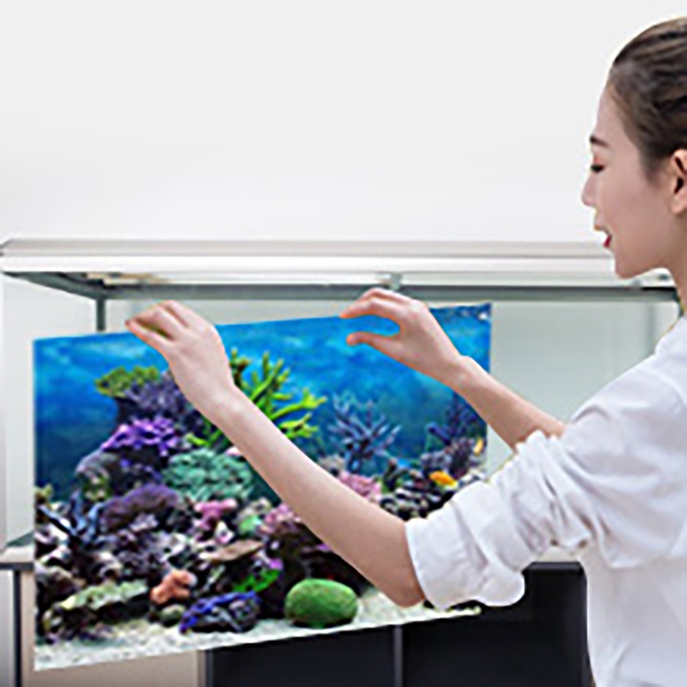 PVC水槽背景ポスター 粘着式 厚手 3D水槽背景 3D効果 - Aquarium Fish Poster のレビューと価格