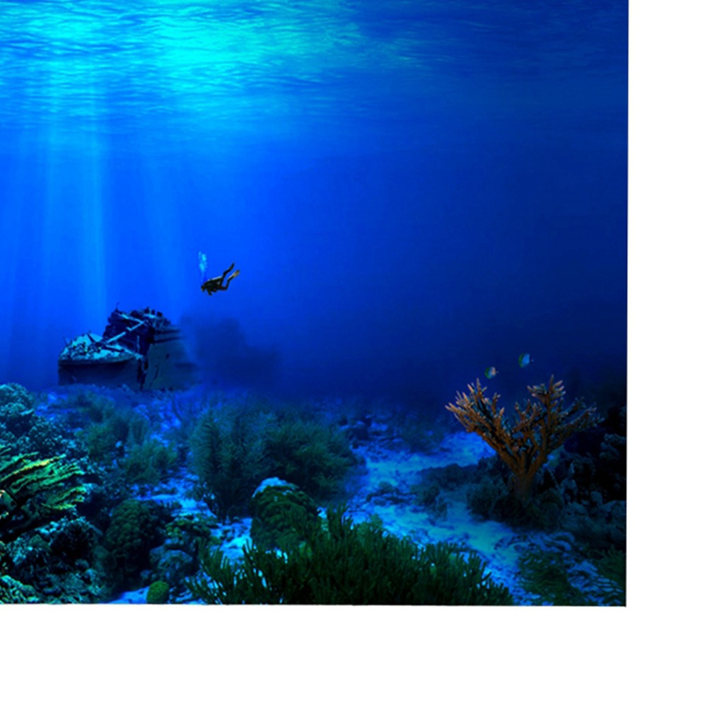 PVC水槽背景ポスター 粘着式 厚手 3D水槽背景 3D効果 - Aquarium Fish Poster のレビューと価格