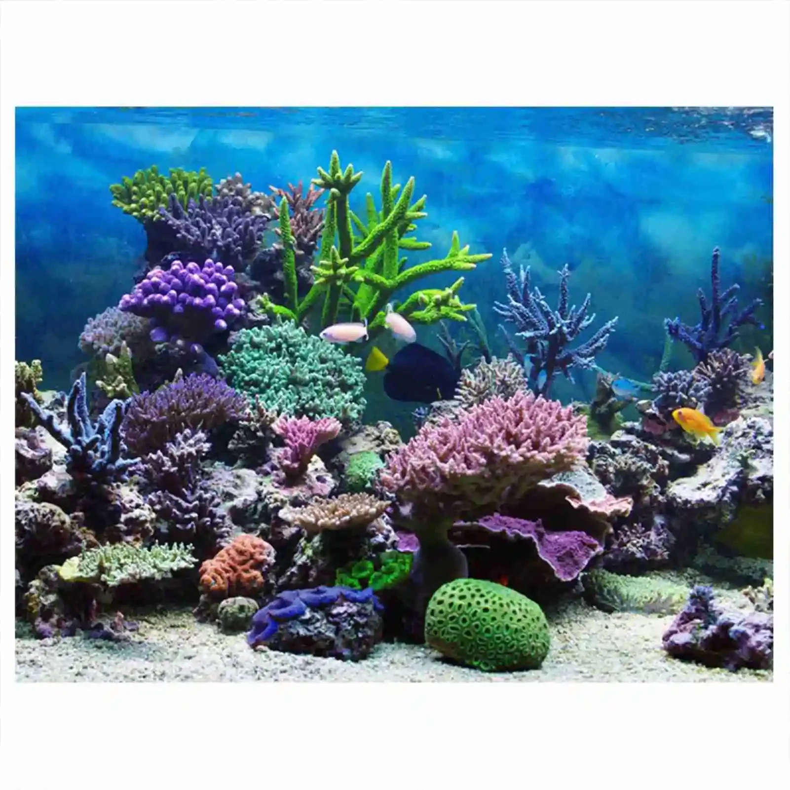 熱帯雨林の壁紙,水族館の背景,PVC装飾,3D風景HDポスタ - Aquarium Fish Poster のレビューと価格