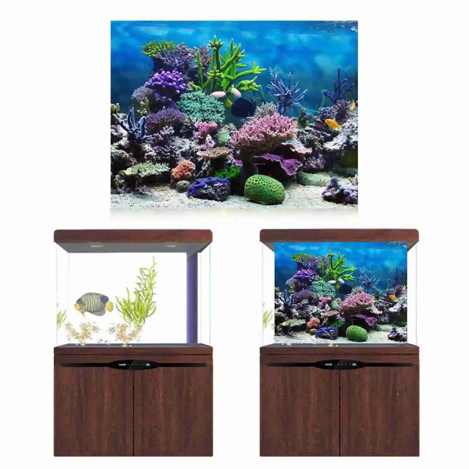 熱帯雨林の壁紙,水族館の背景,PVC装飾,3D風景HDポスタ - Aquarium Fish Poster のレビューと価格