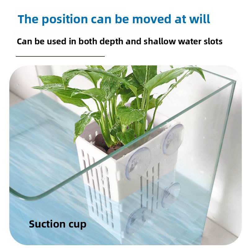 1PC 壁掛け水耕栽培植栽バスケット水槽用グリーンアイビー水 - Aquarium Fish Only のレビューと価格