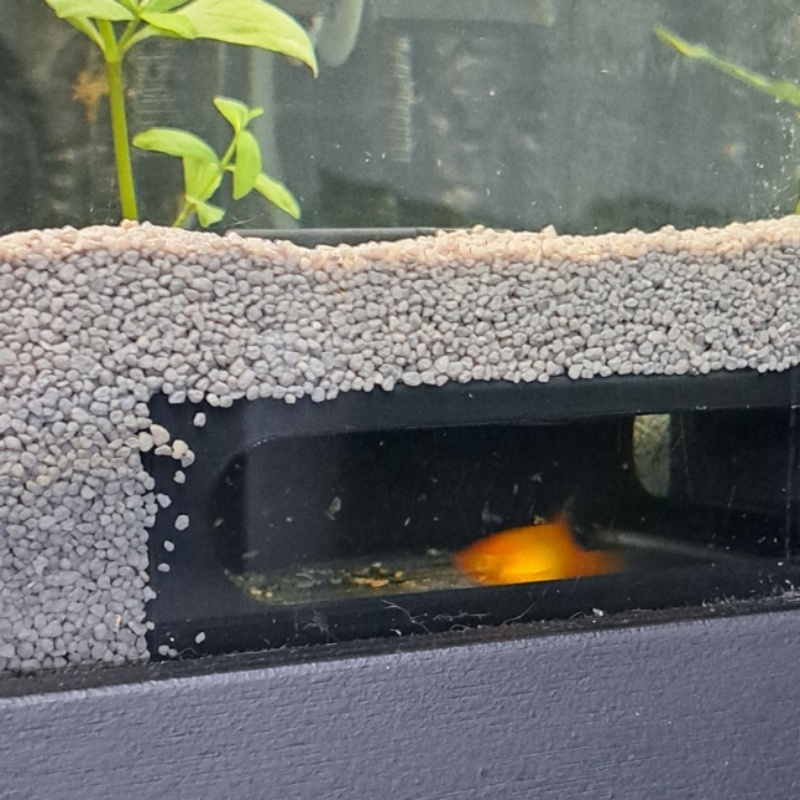 半円形水槽コーナー魚とエビの洞窟水生生物の楽園水槽セット装飾 - Aquarium Fish Paradise のレビューと価格